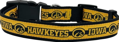 Iowa Hawkeyes Dog Collar