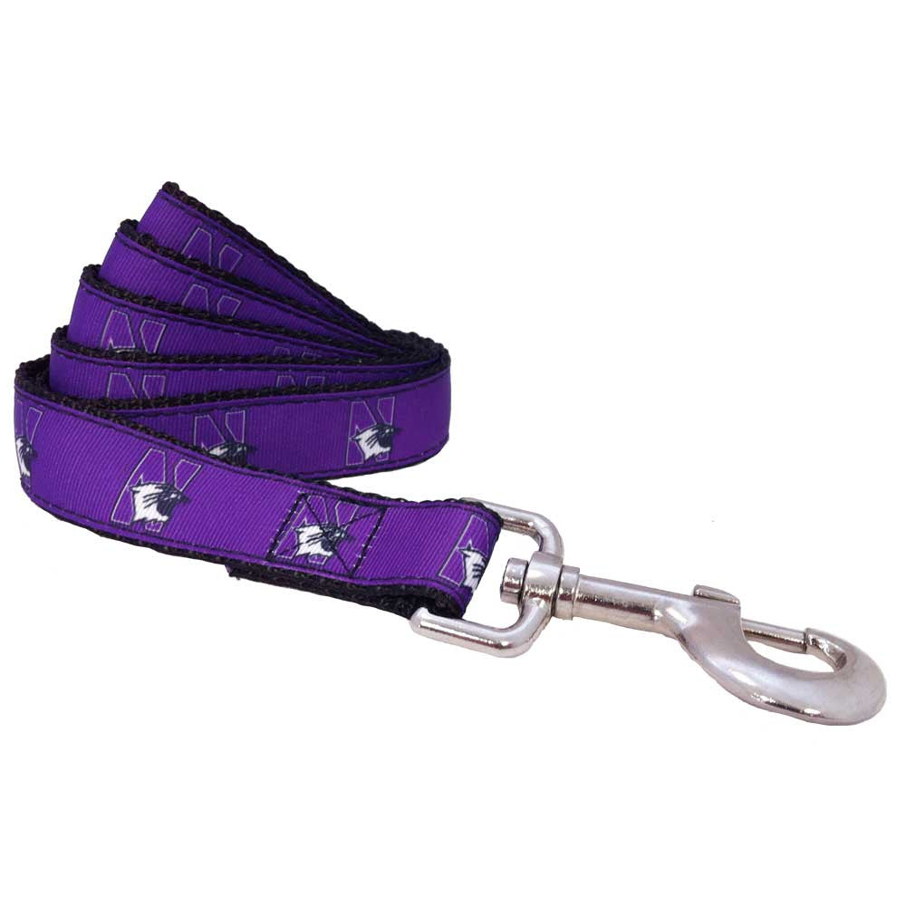 Northwestern Wildcats Premium Dog Leash