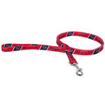 Houston Texans Dog Leash 2 (Discontinued)