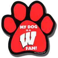 Wisconsin Badgers Car Magnet