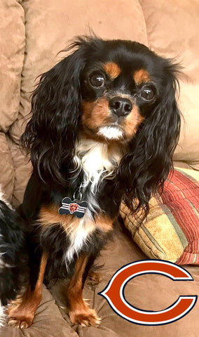 Chicago Bears Dog ID Tag
