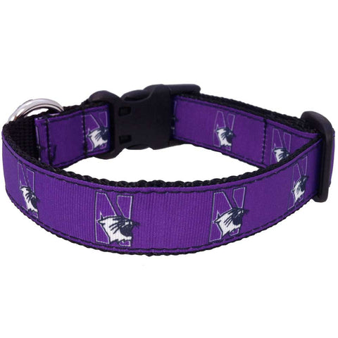 Northwestern Wildcats Premium Dog Collar