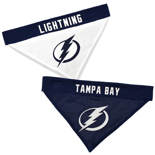 Tampa Bay Lightning Reversible Dog Bandana